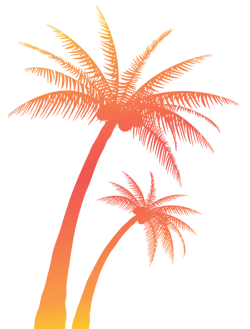 Gradient Palm Trees Gradient Palm Trees